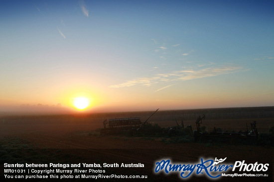 Sunrise between Paringa and Yamba, South Australia