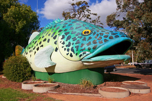 Big Cod, Swan Hill, Victoria