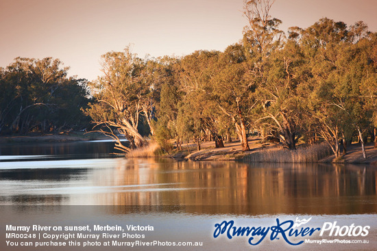 Murray River on sunset, Merbein, Victoria