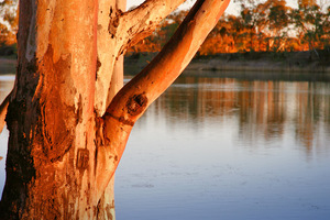 Sunset over the Murray River, Merbein, Victoria