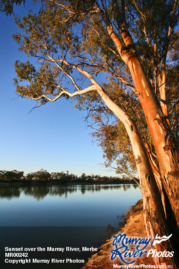 Sunset over the Murray River, Merbein, Victoria