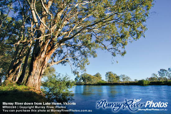 Murray River down from Lake Hume, Victoria