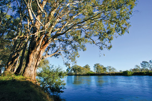 Murray River down from Lake Hume, Victoria