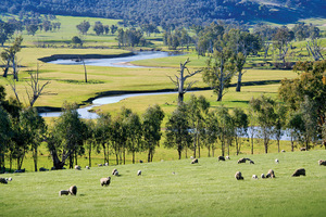 Upper Murray River, Victoria