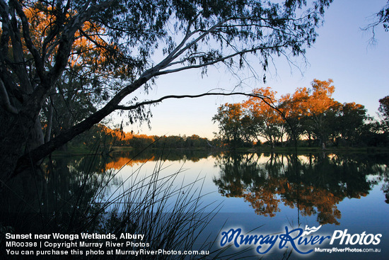 Sunset near Wonga Wetlands, Albury