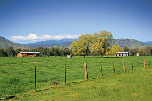 Farmland in the Alps, Victoria