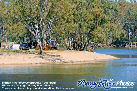 Murray River reserve opposite Tocumwal