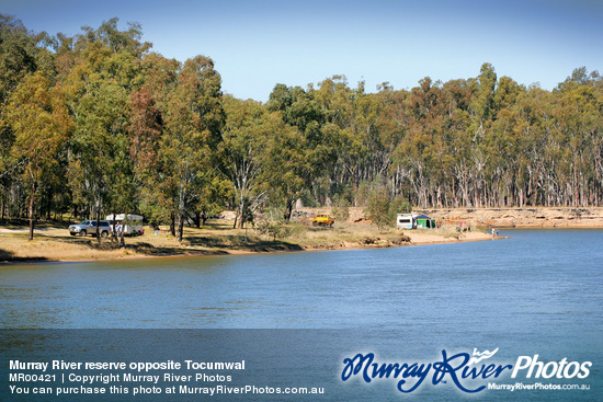 Murray River reserve opposite Tocumwal