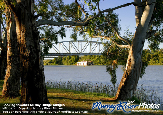 Looking towards Murray Bridge bridges