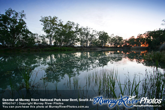 Sunrise at Murray River National Park near Berri, South Australia