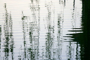 Reflection at Mildura