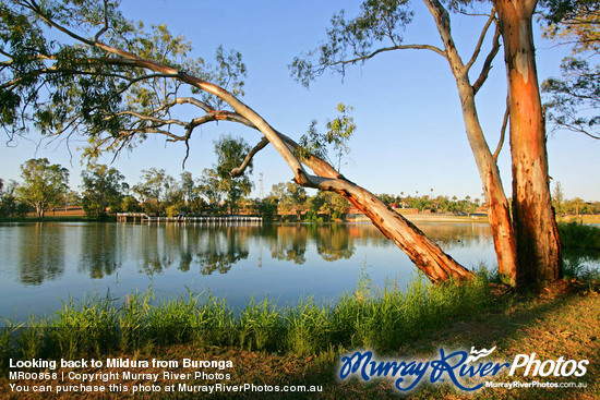 Looking back to Mildura from Buronga