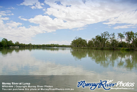 Murray River at Lyrup