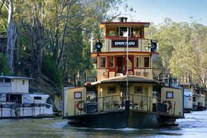 Emmy Lou at Echuca, Victoria