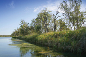 River near Noa No landing, Mannum