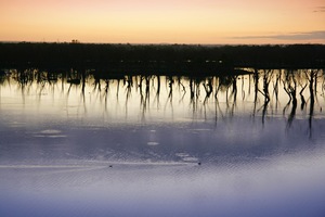 Sunrise at Wachtels Lagoon, Kingston-on-Murray, South Australia