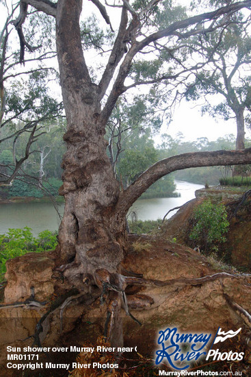 Sun shower over Murray River near Corowa