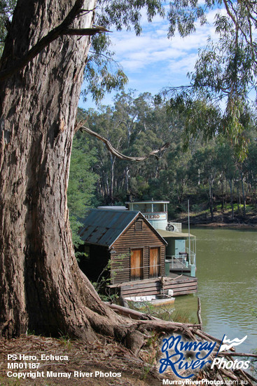 PS Hero, Echuca