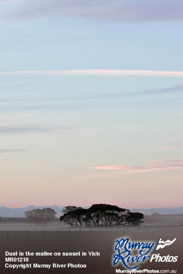 Dust in the mallee on sunset in Victoria