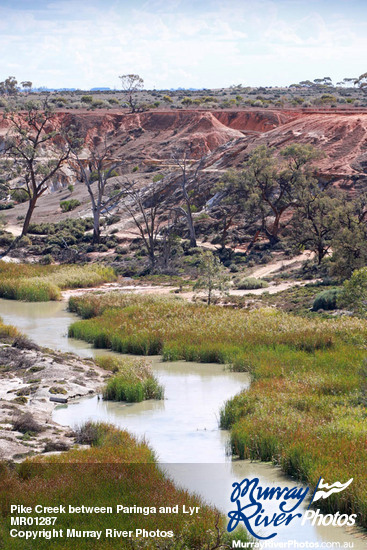 Pike Creek between Paringa and Lyrup, South Australia