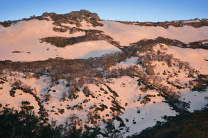 Sunrise on snowfields of Kosciuszko National Park