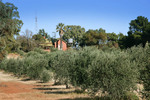 Carina Lodge Bed & Breakfast, Carina, Mallee, Victoria