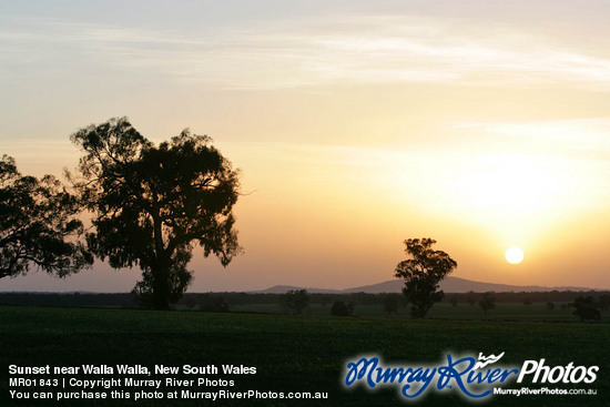 Sunset near Walla Walla, New South Wales