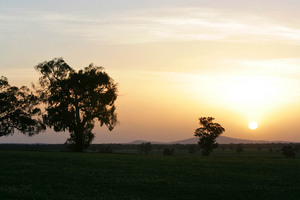 Sunset near Walla Walla, New South Wales