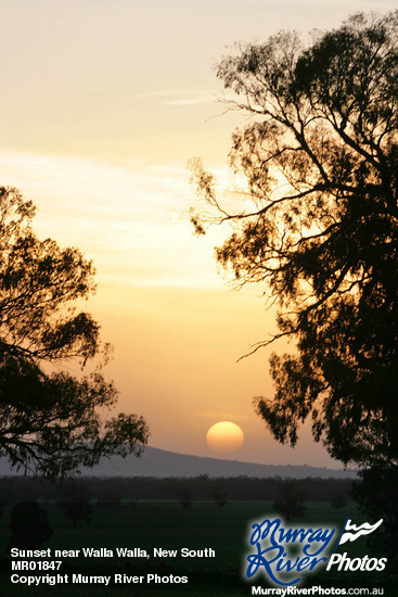 Sunset near Walla Walla, New South Wales