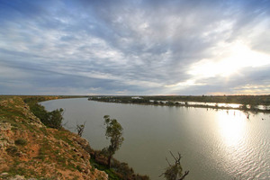 Murray River up from Blanchetown, South Australia