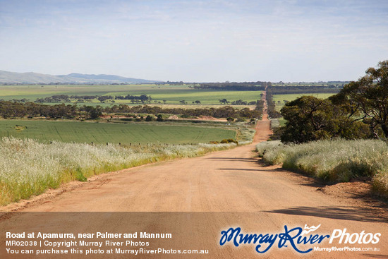 Road at Apamurra, near Palmer and Mannum