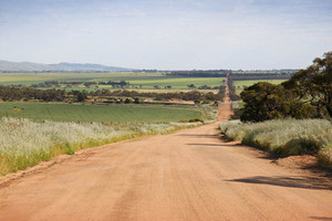 Road at Apamurra, near Palmer and Mannum