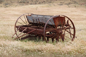 Old wheat harvester, Kongalia near Cambrai