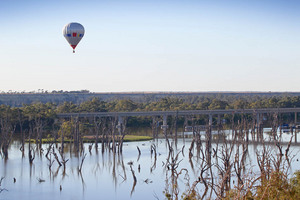 Hot air ballooning over Blanchetown