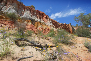 Eroded cliffs near Murtho, South Australia