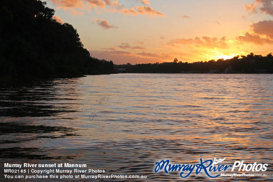 Murray River sunset at Mannum