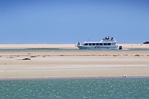 Spirit of the Coorong at the Murray Mouth