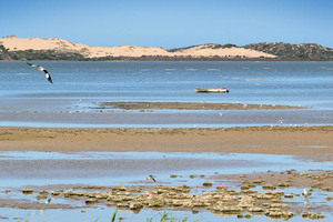 Coorong National Park at Noonameena