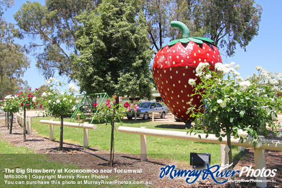 The Big Strawberry at Koonoomoo near Tocumwal