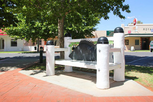 Seats with Murray Cod sculpture on Darling Lane, Wentworth