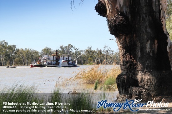 PS Industry at Murtho Landing, Riverland