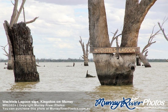 Wachtels Lagoon sign, Kingston-on-Murray