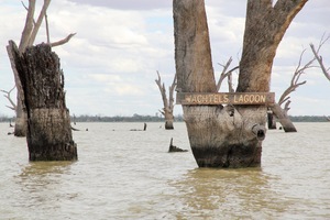 Wachtels Lagoon sign, Kingston-on-Murray