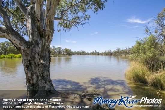 Murray River at Psyche Bend, Mildura