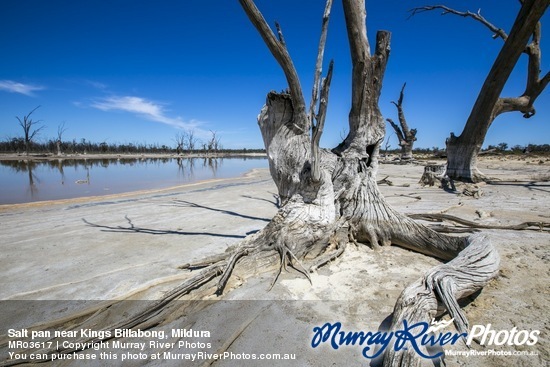 Salt pan near Kings Billabong, Mildura