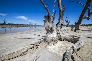 Salt pan near Kings Billabong, Mildura