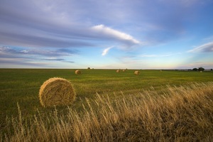 Hay bales in Stockport, Murray Bridge, South Australia