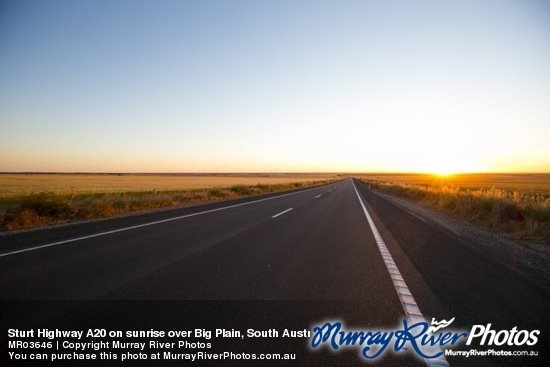 Sturt Highway A20 on sunrise over Big Plain, South Australia