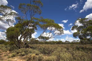 Murray Sunset National Park, Victoria